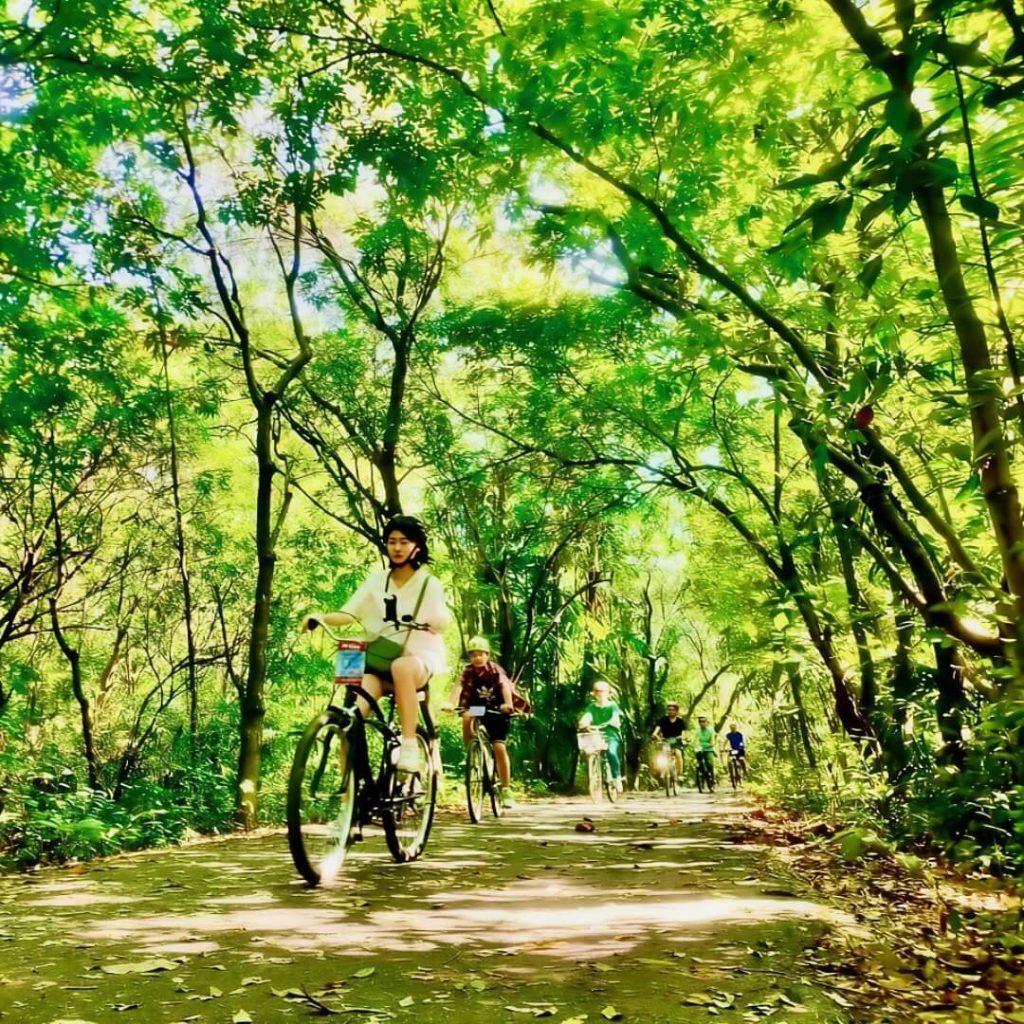 Cyclists riding along a shaded path surrounded by green trees in Bang Krachao