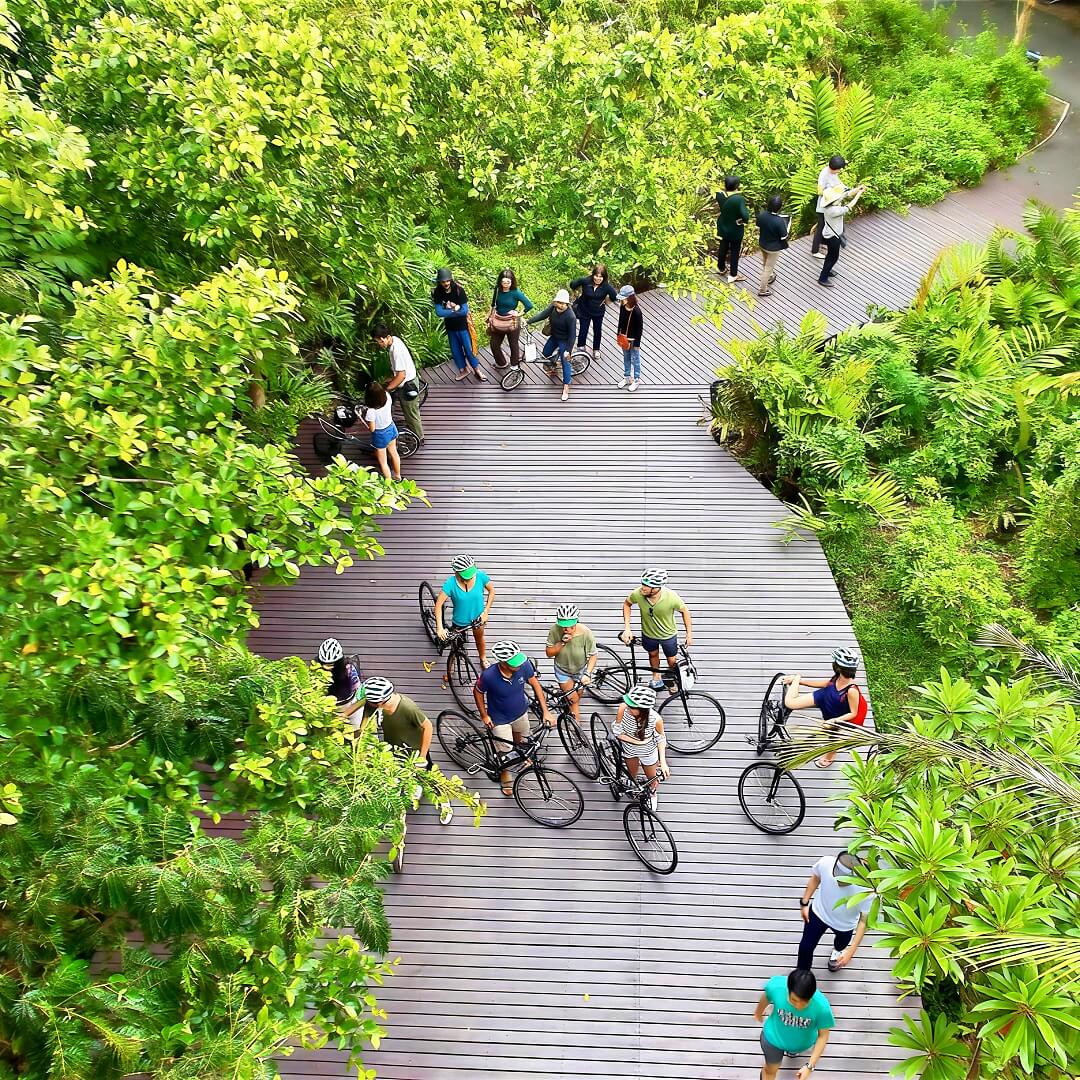 Bang Krachao cycling route with riders on a wooden deck surrounded by tropical greenery in Bangkok