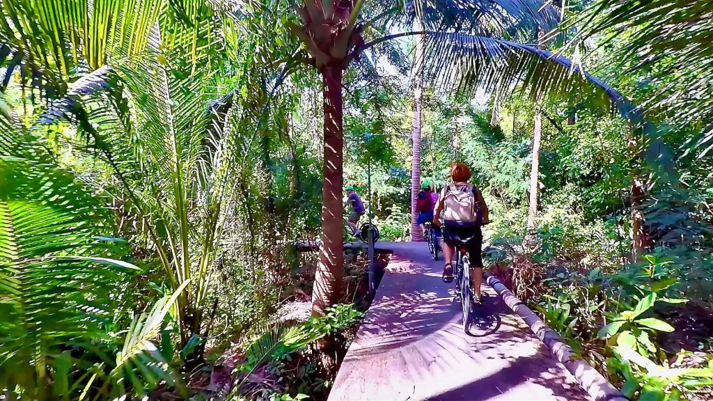 Elevated cycling path in Bang Krachao surrounded by dense green vegetation