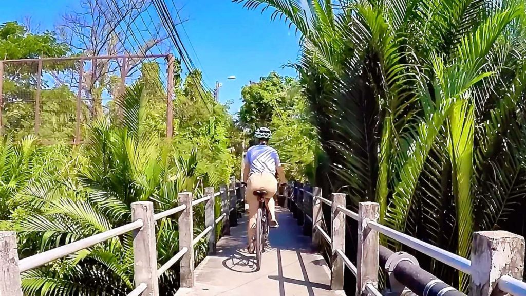 Cyclist entering Bang Krachao on an elevated path surrounded by dense green foliage under a blue sky