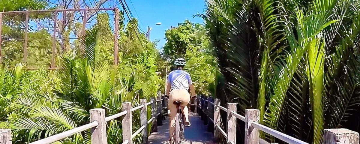 Cyclist entering Bang Krachao on an elevated path surrounded by dense green foliage under a blue sky