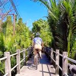 Cyclist entering Bang Krachao on an elevated path surrounded by dense green foliage under a blue sky