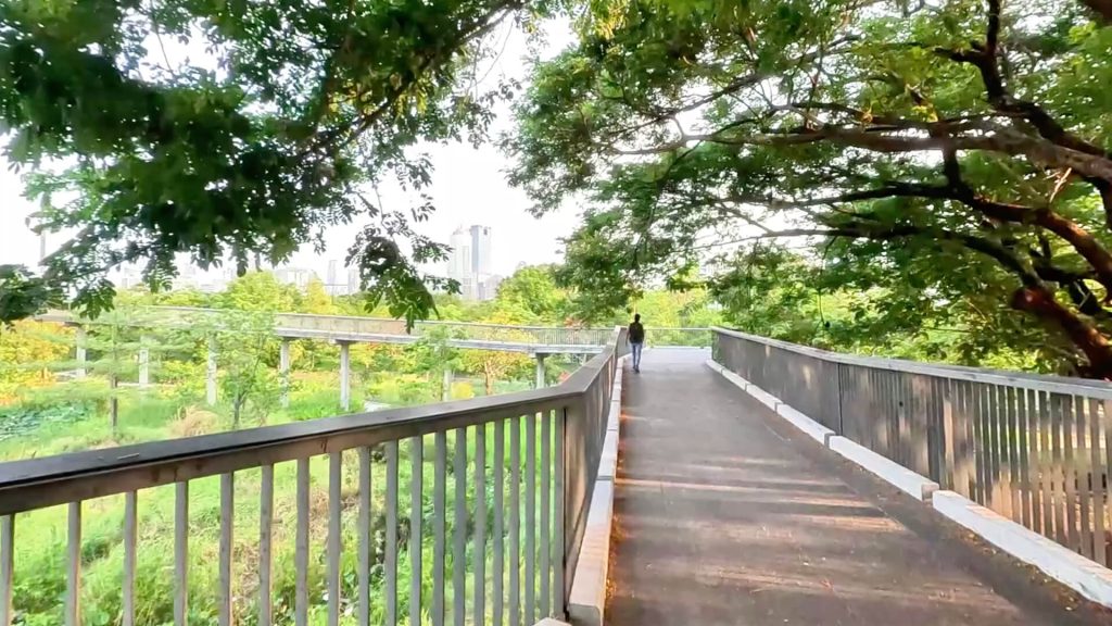 Elevated wetland walkway inside Benchakitti Park walking route in Bangkok
