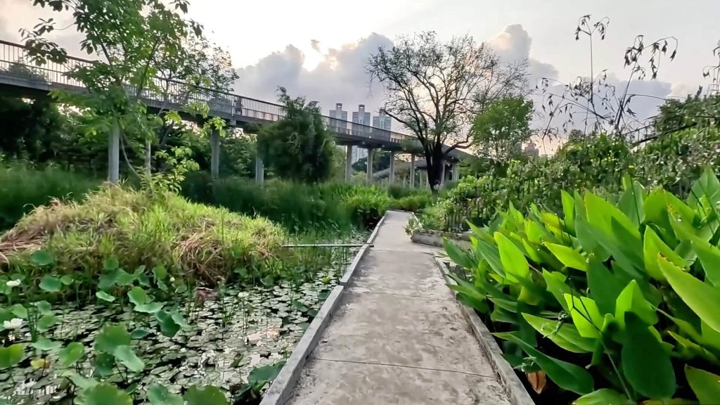 Wetland walking path and elevated walkway inside Benchakitti Park in Bangkok