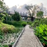 Wetland walking path and elevated walkway inside Benchakitti Park in Bangkok